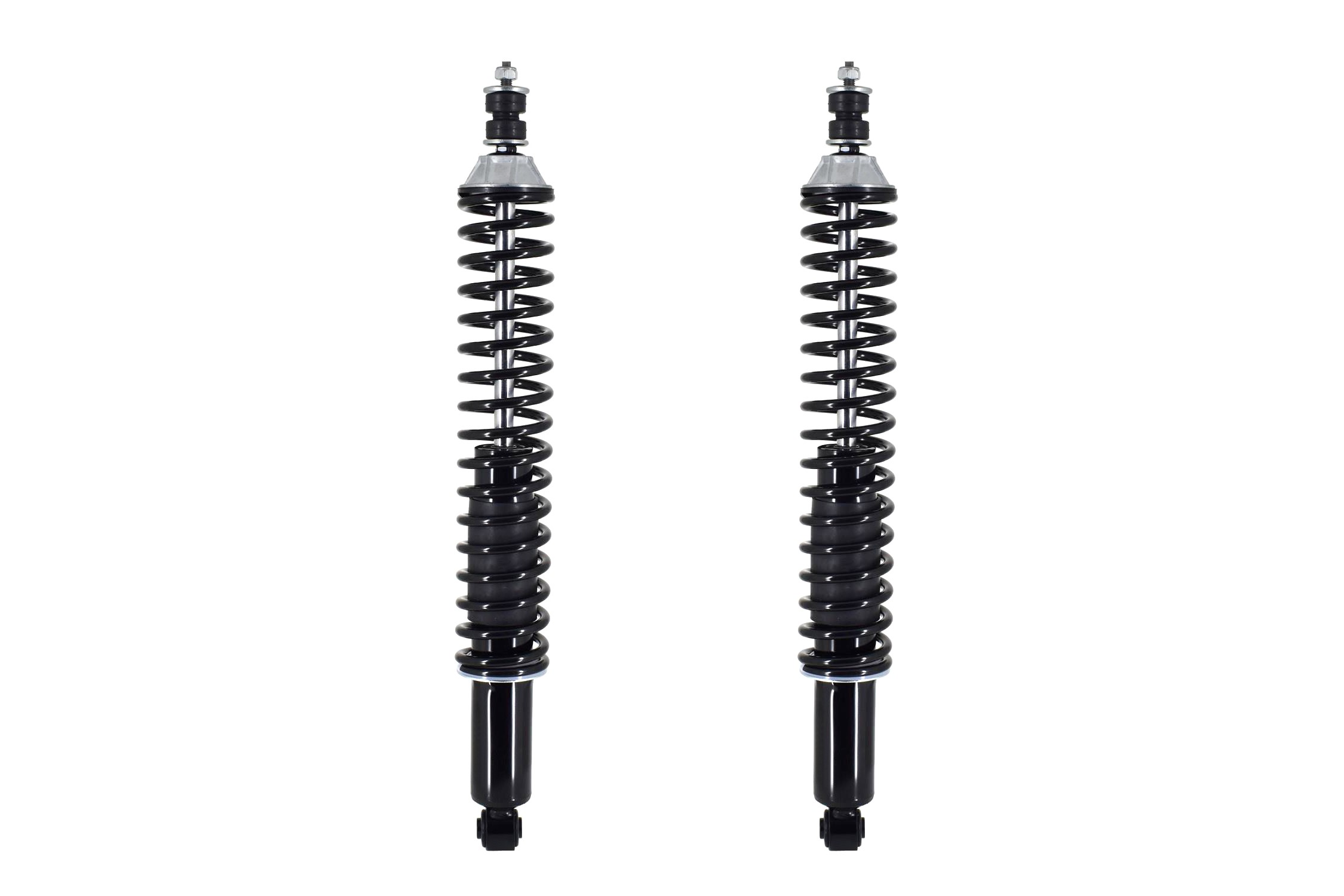 Shock Absorber and Coil Spring Assembly