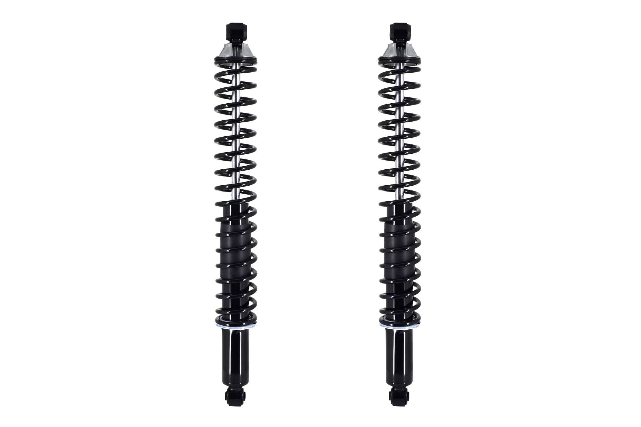 Shock Absorber and Coil Spring Assembly