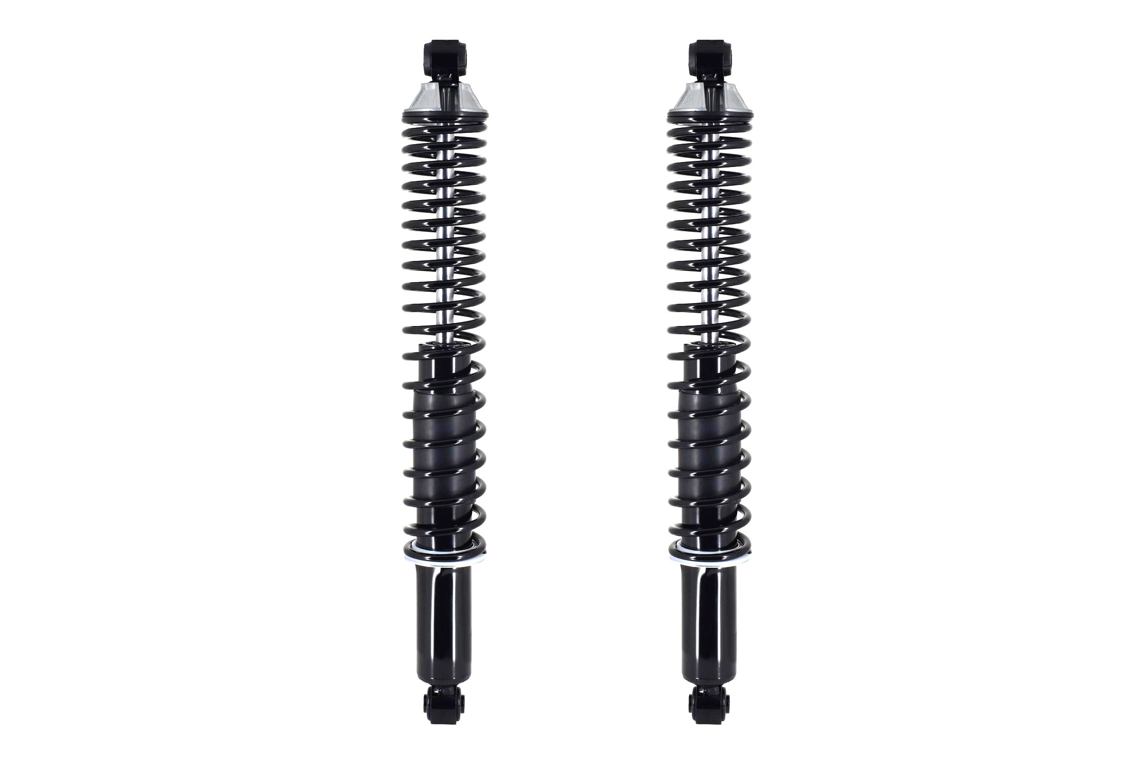 Shock Absorber and Coil Spring Assembly
