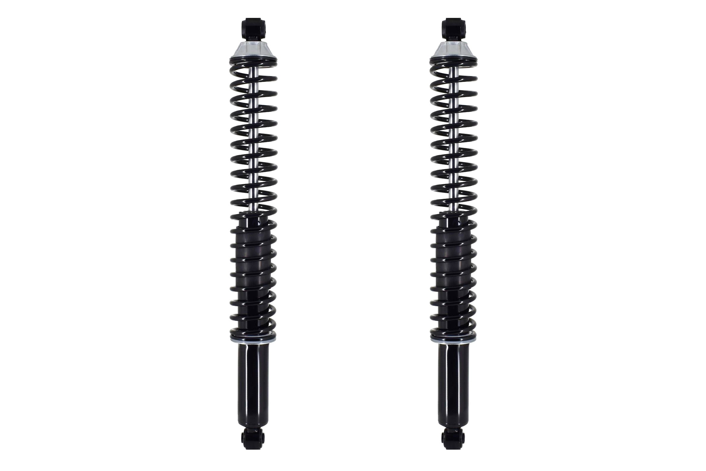 Shock Absorber and Coil Spring Assembly