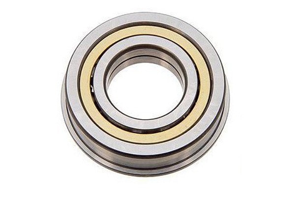 Schaeffler Bearing - DGBB (Deep Groove Ball Bearing)