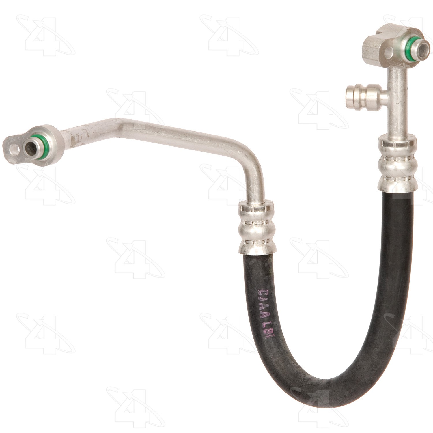 Discharge Line Hose Assembly