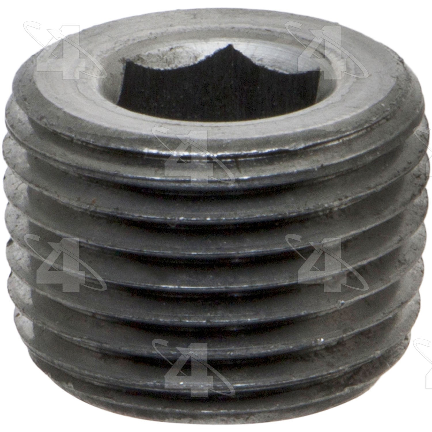 Hex Socket Pipe Plug