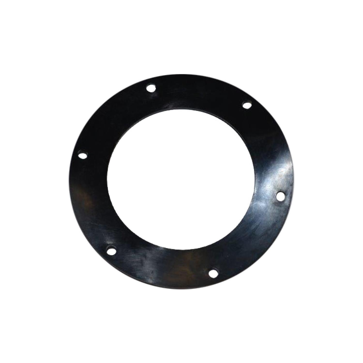 Fuel Pump Tank Seal