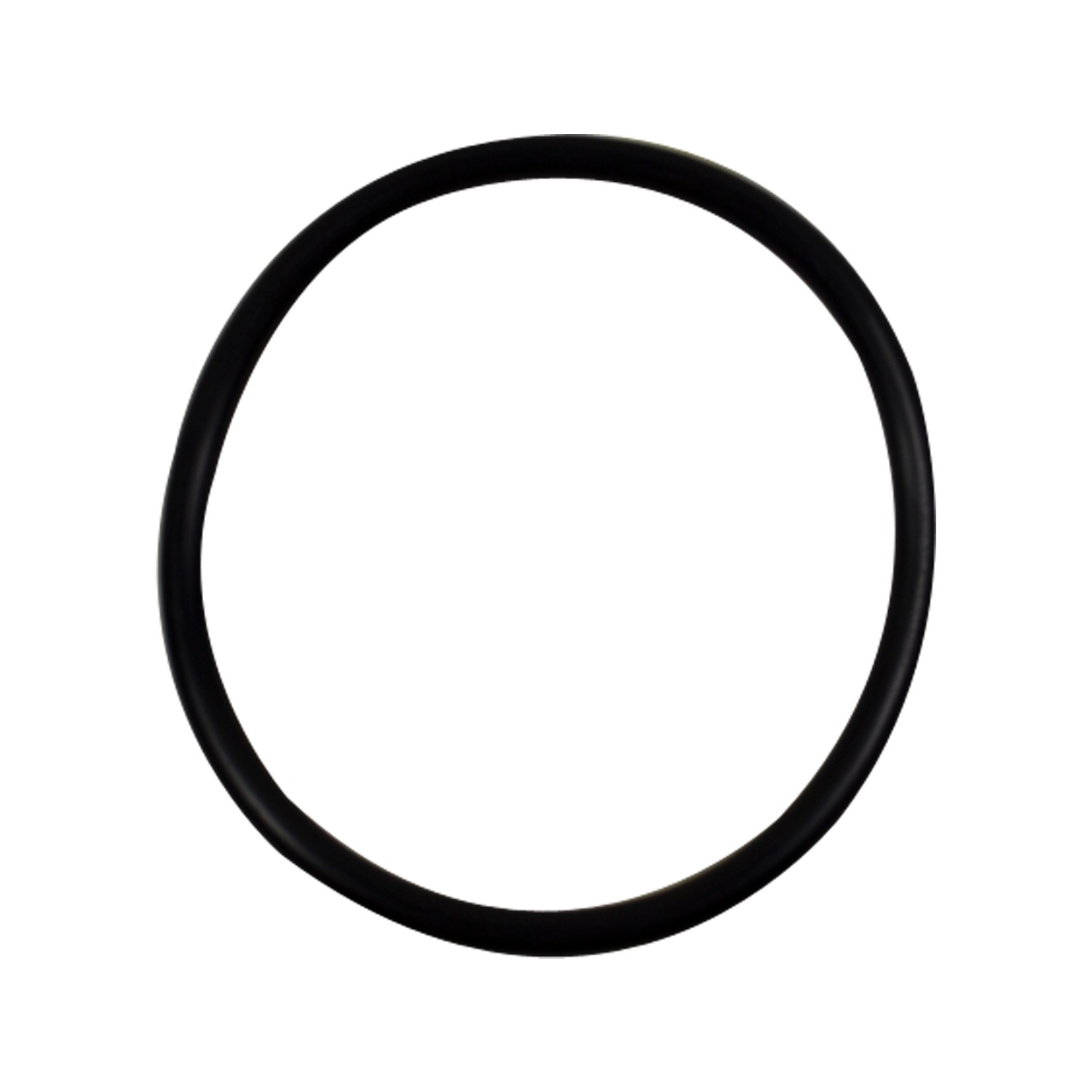 Fuel Pump Tank Seal