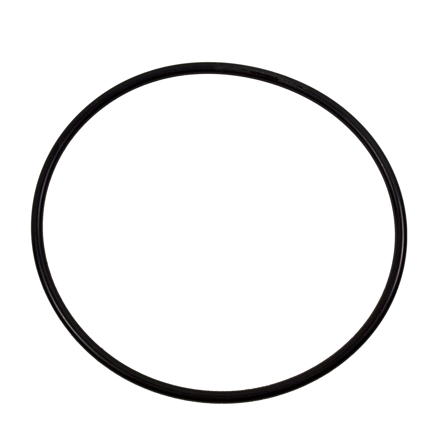 Fuel Pump Tank Seal