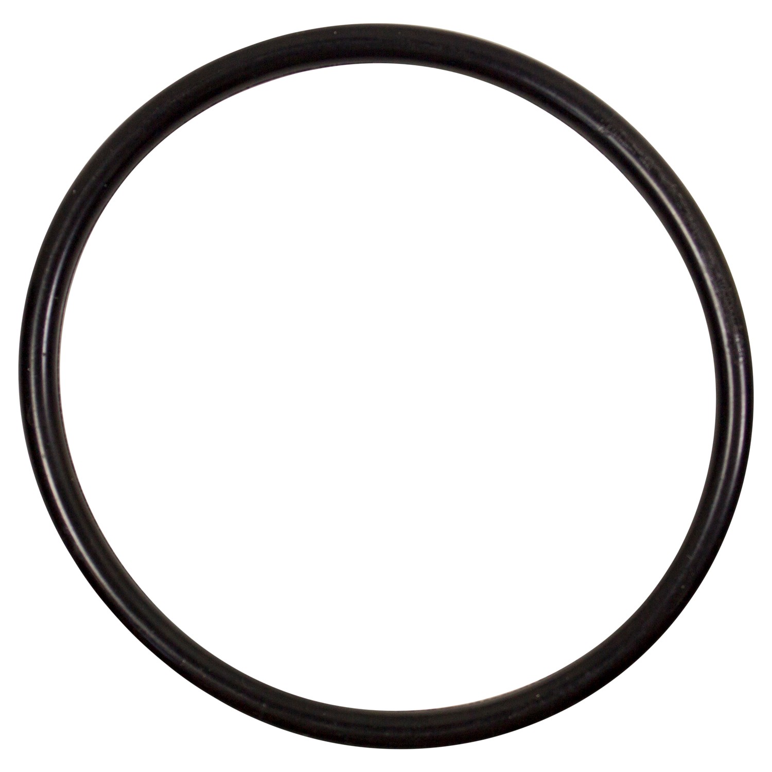 Fuel Pump Tank Seal