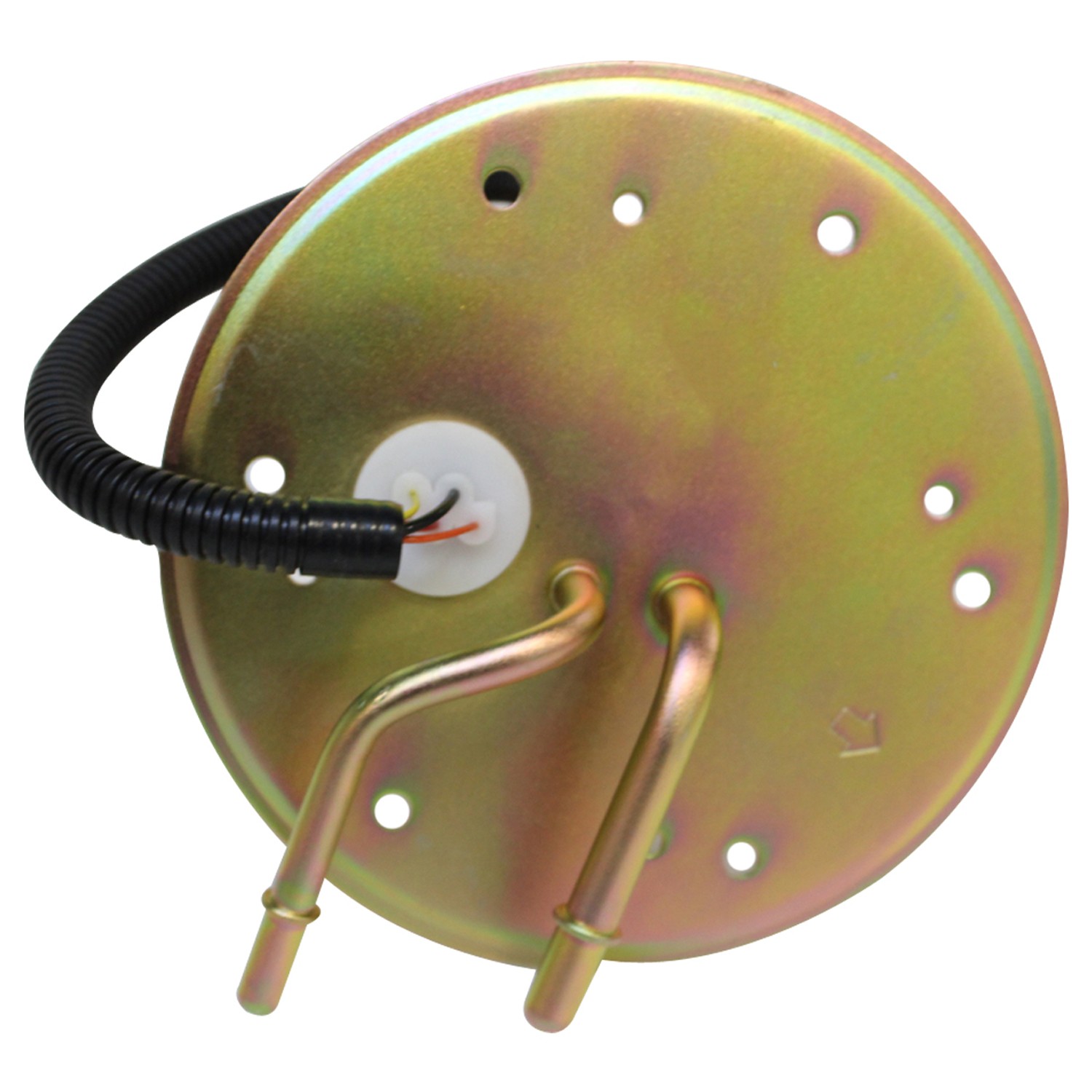 Fuel Pump and Sender Assembly