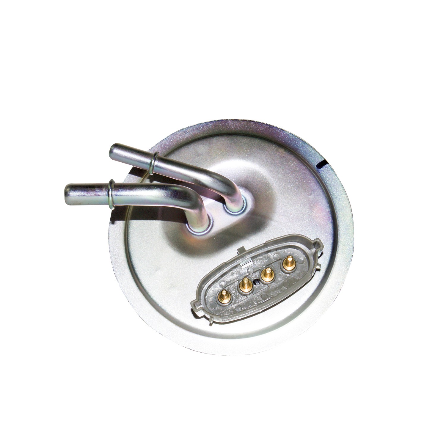 Fuel Pump and Sender Assembly