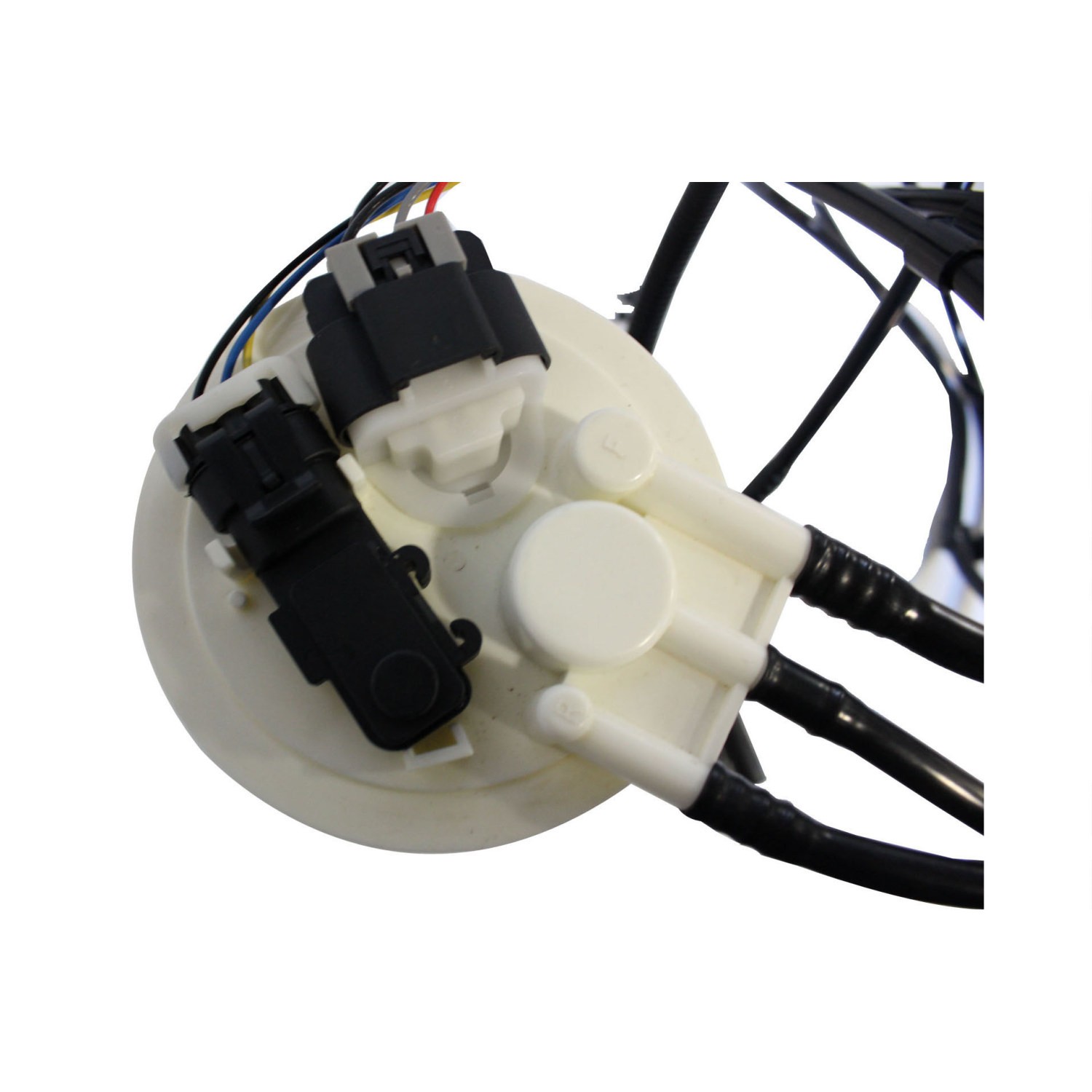 Fuel Pump Module Assembly