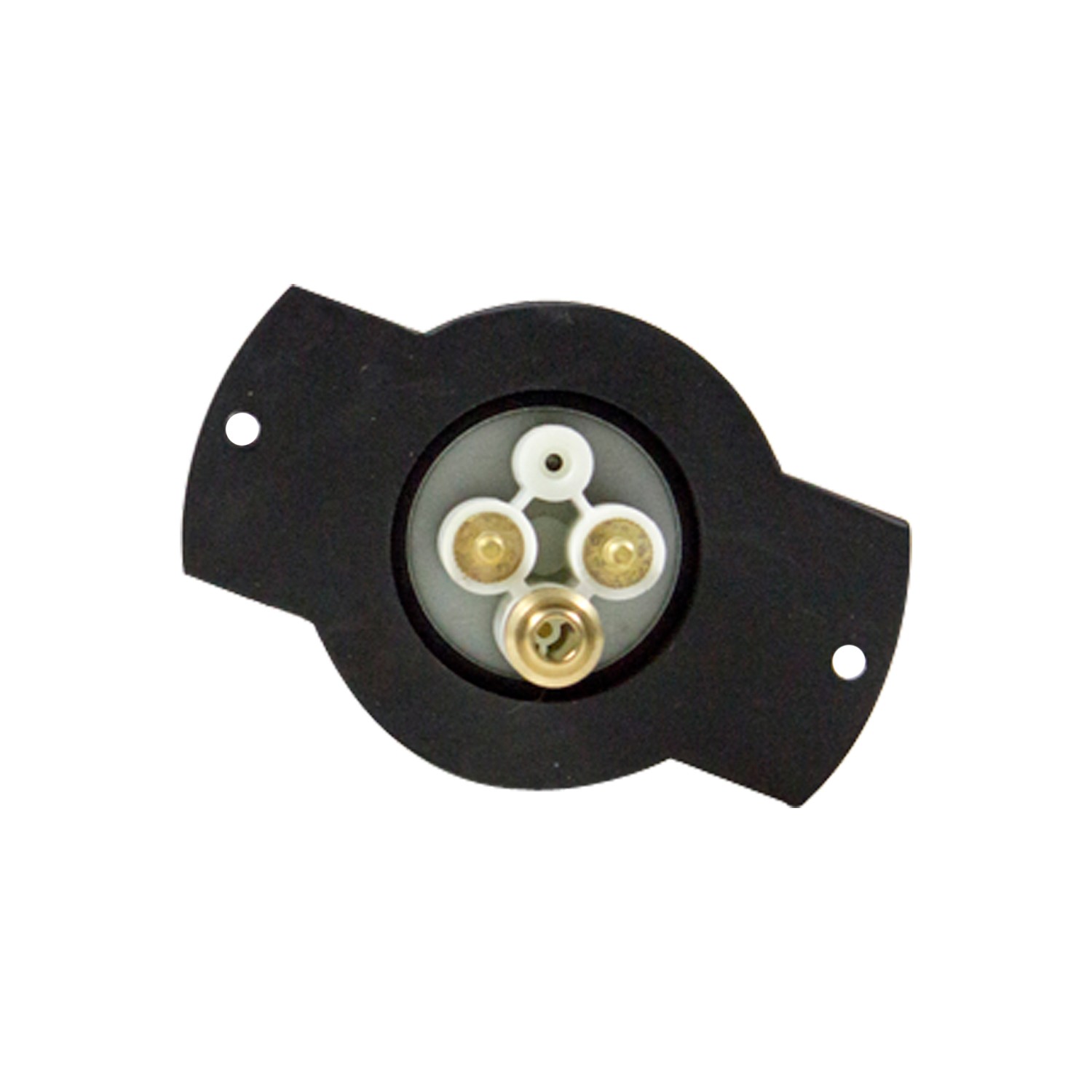 Electric Fuel Pump
