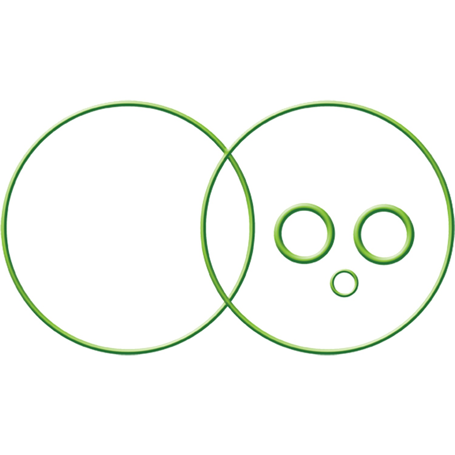 gpd Oring/Gasket 1311243