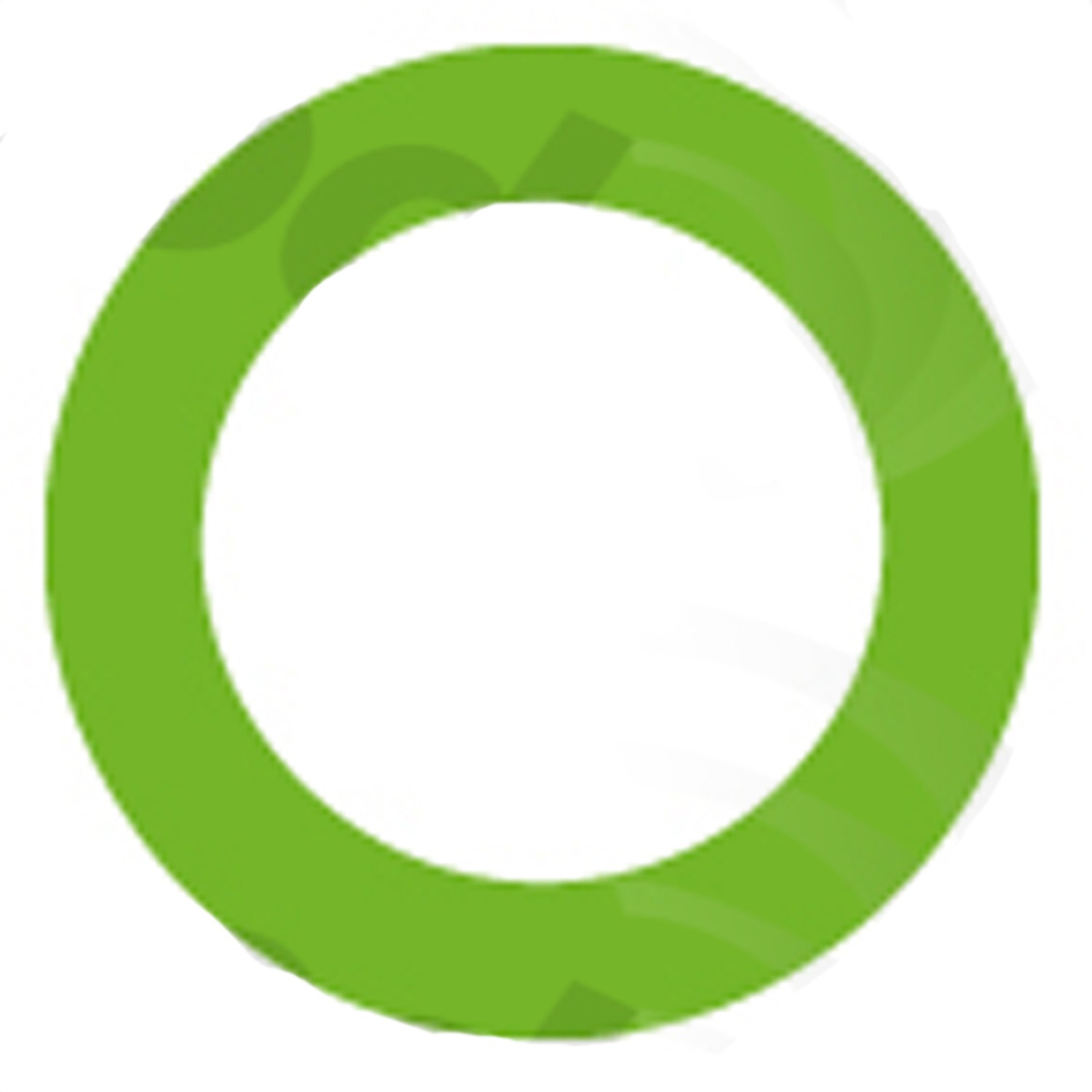 gpd Oring/Gasket 1311373