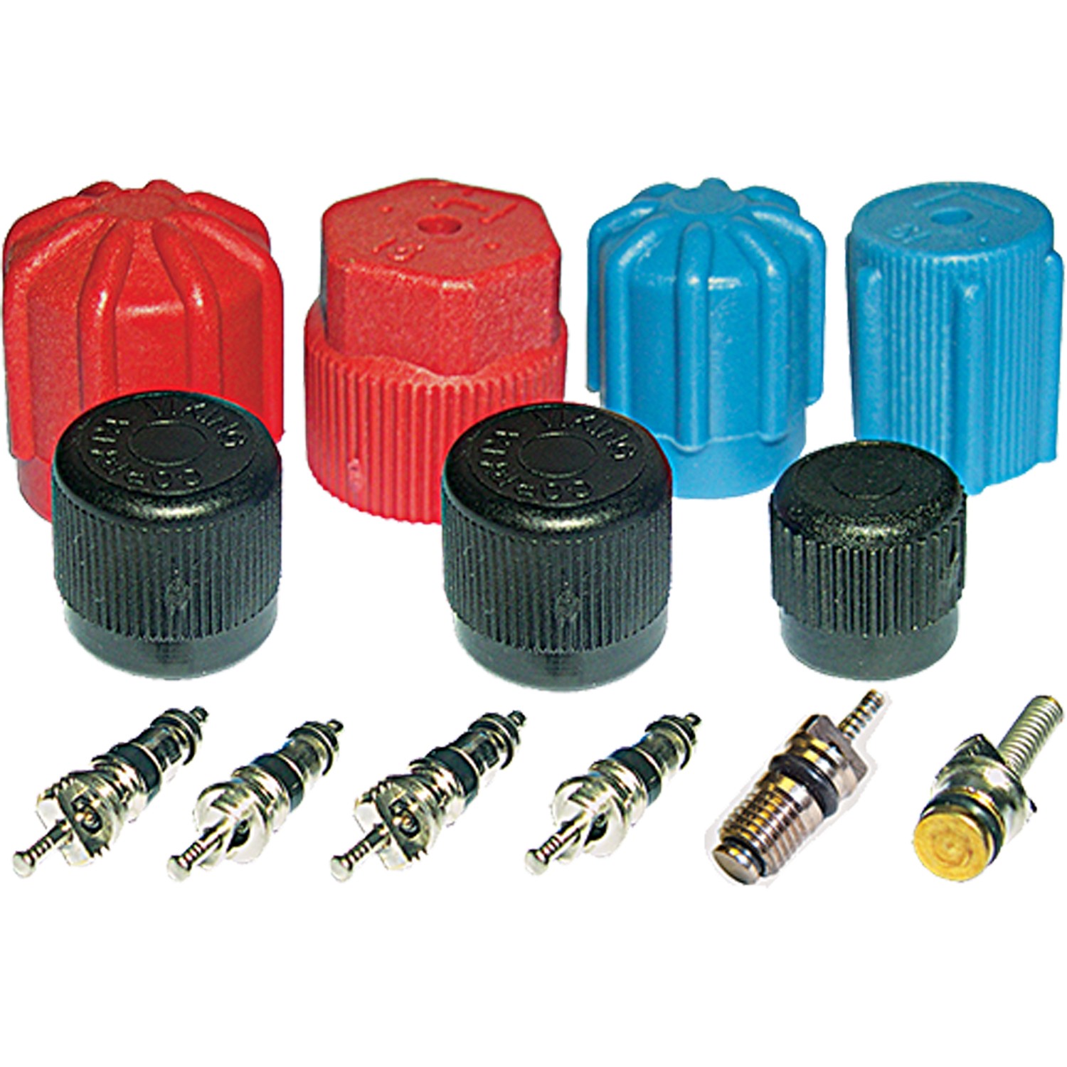 gpd Cap and Valve Kit 1311567