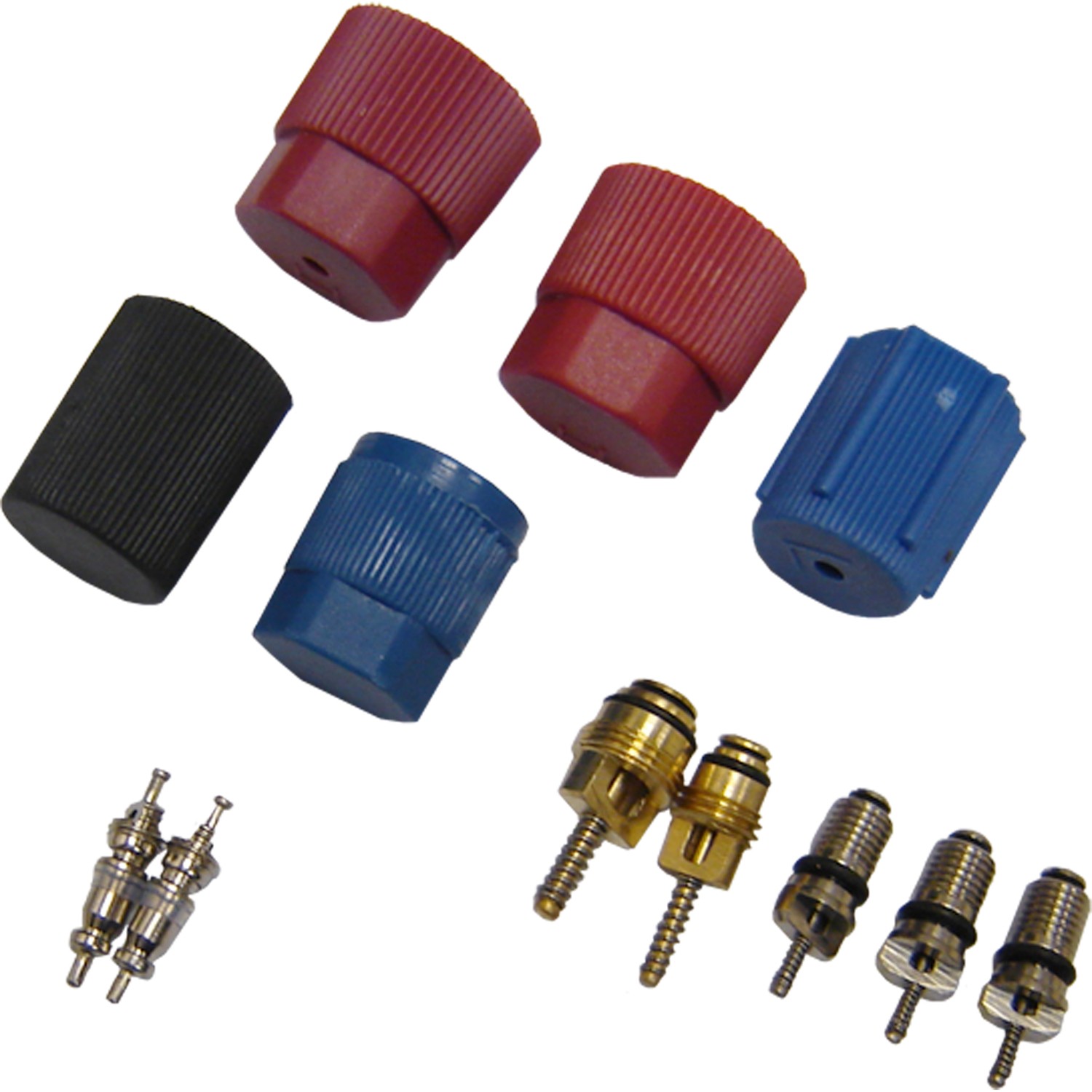 gpd Cap and Valve Kit 1311570