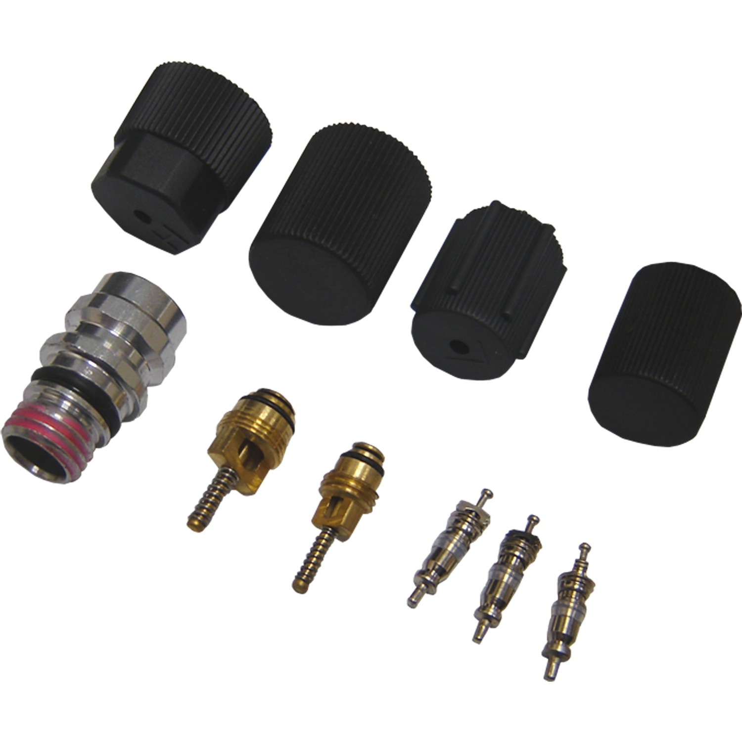 gpd Cap and Valve Kit 1311572