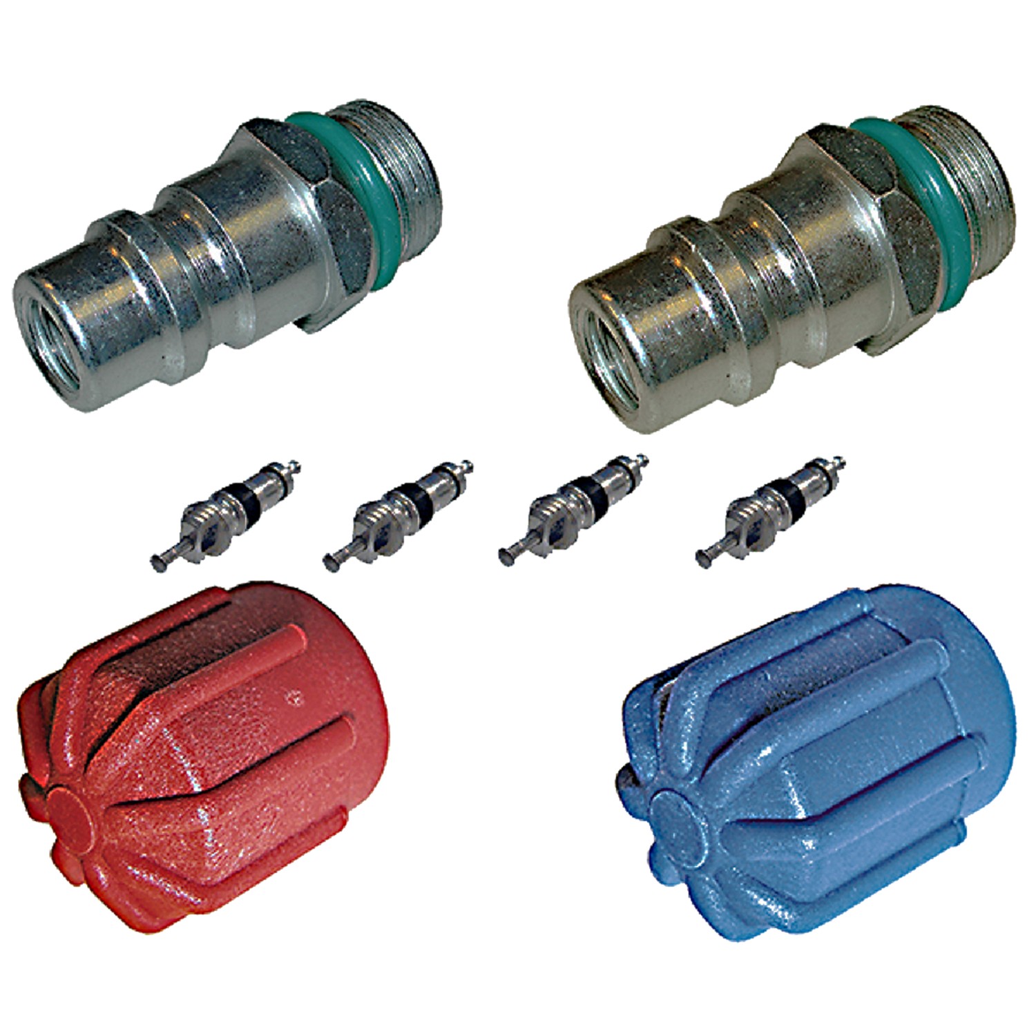 gpd Cap and Valve Kit 1311573