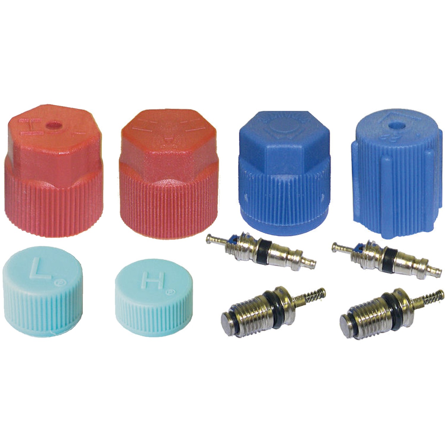 gpd Cap and Valve Kit 1311575