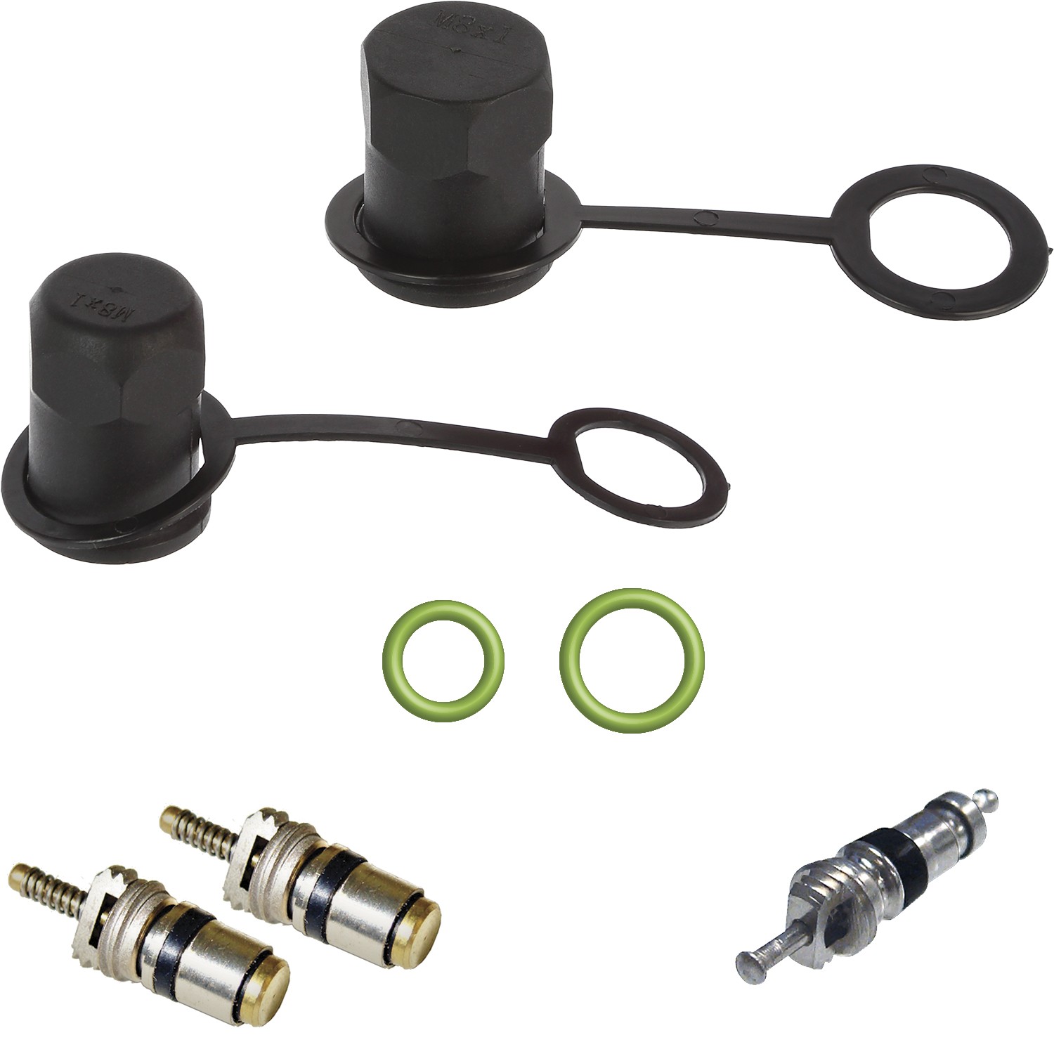 gpd Cap and Valve Kit 1311748
