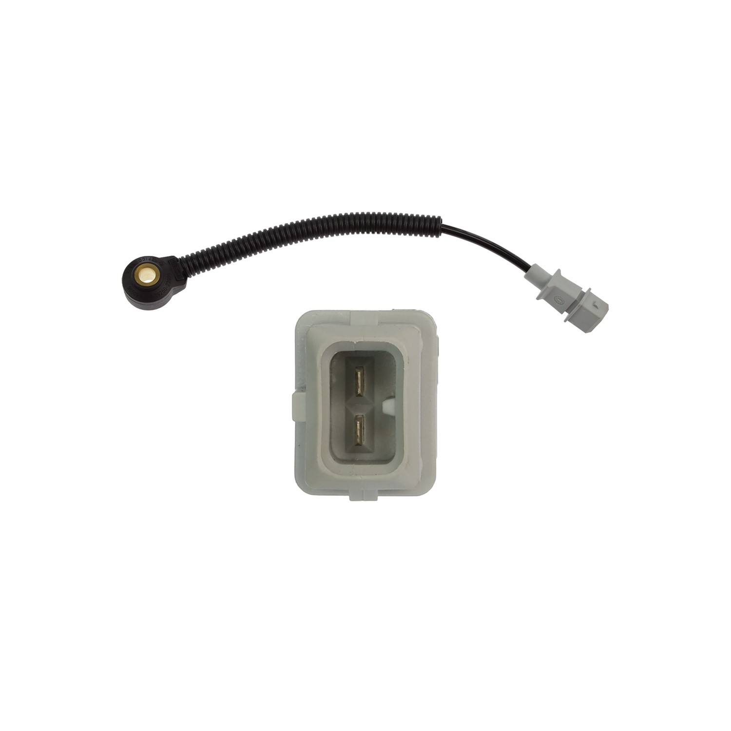 gpd Knock Sensor 1811847