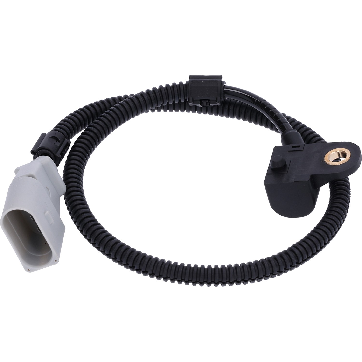 gpd Crank/Cam Position S 1812844