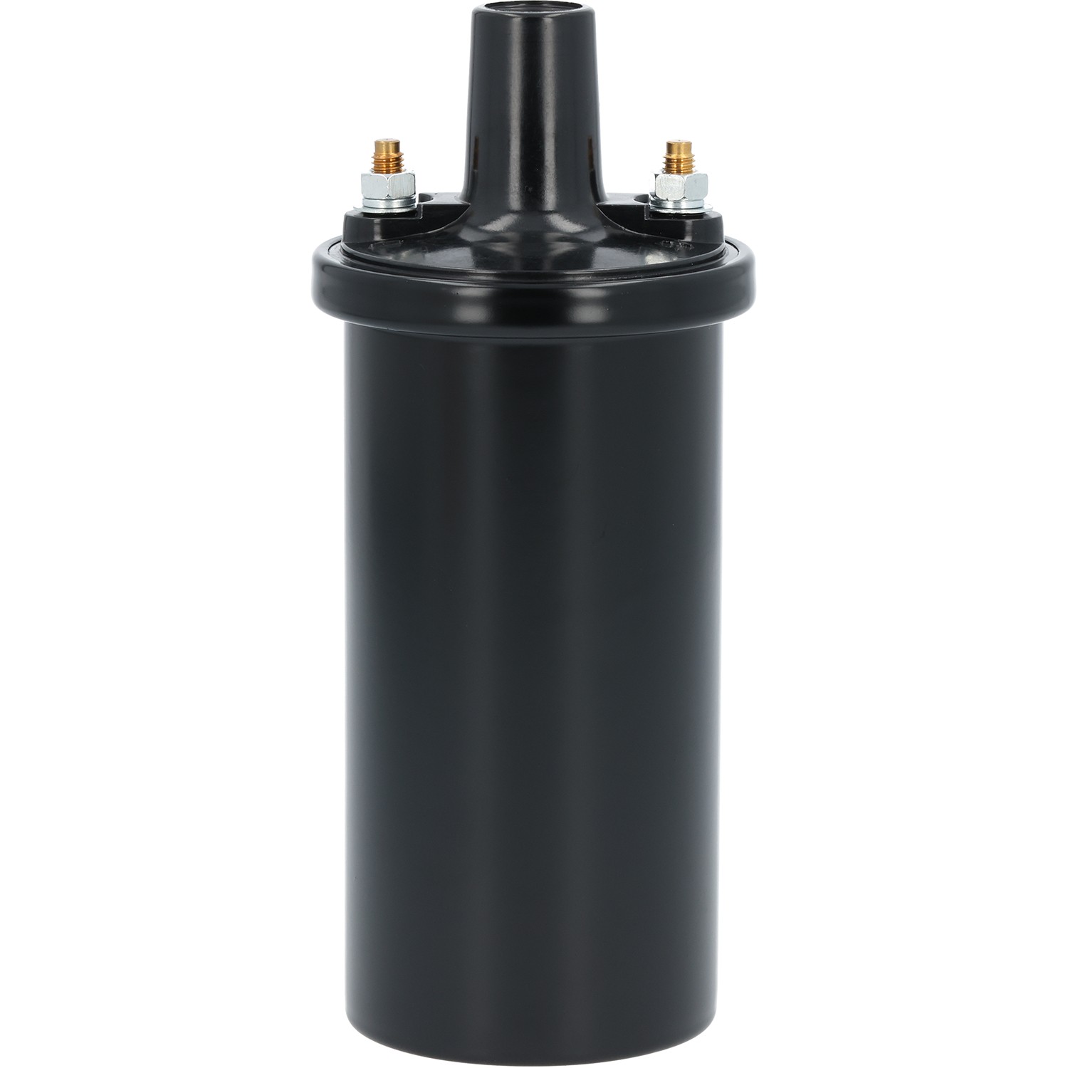 gpd Ignition Coil 1813659