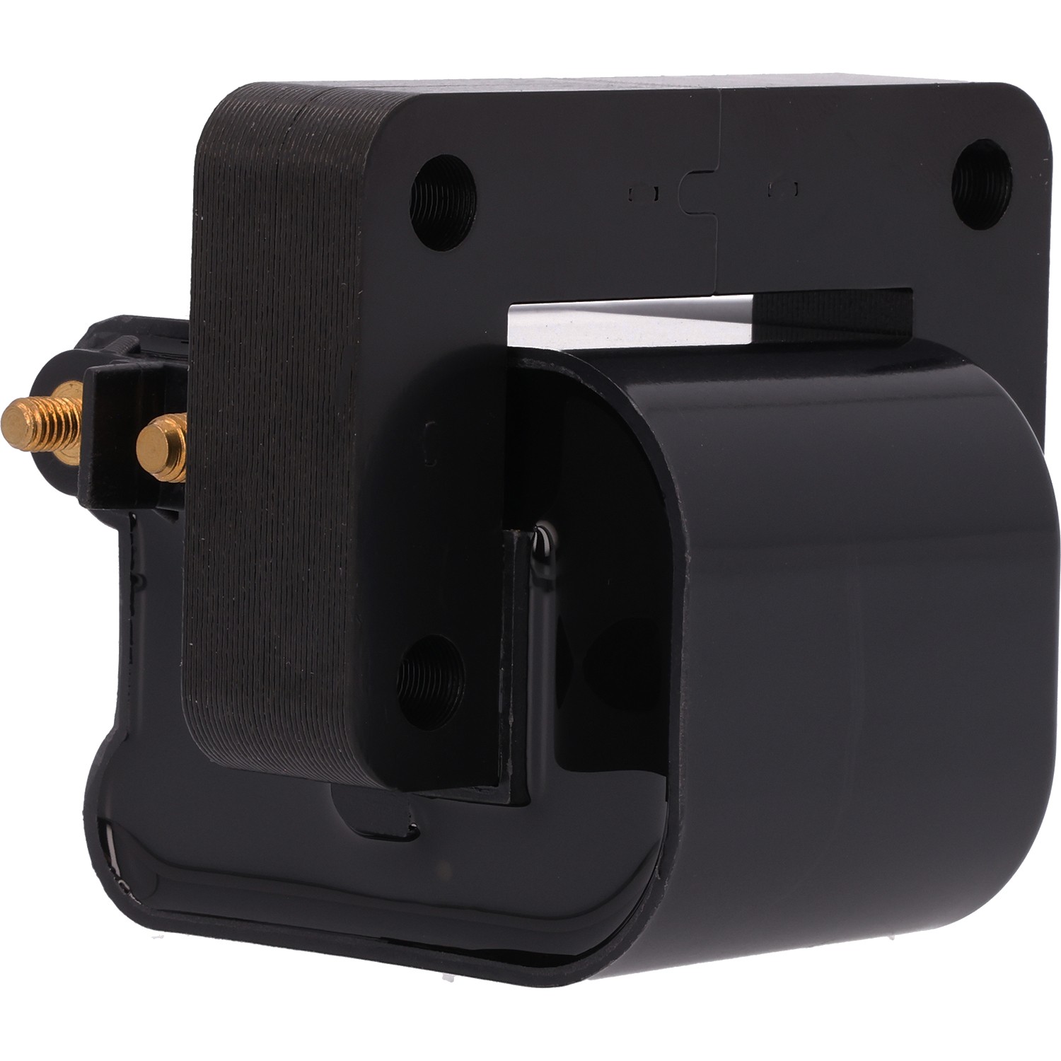gpd Ignition Coil 1813822