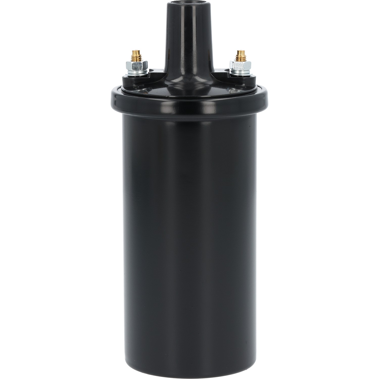 gpd Ignition Coil 1813824