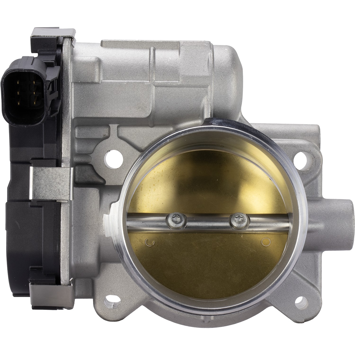 Fuel Injection Throttle Body