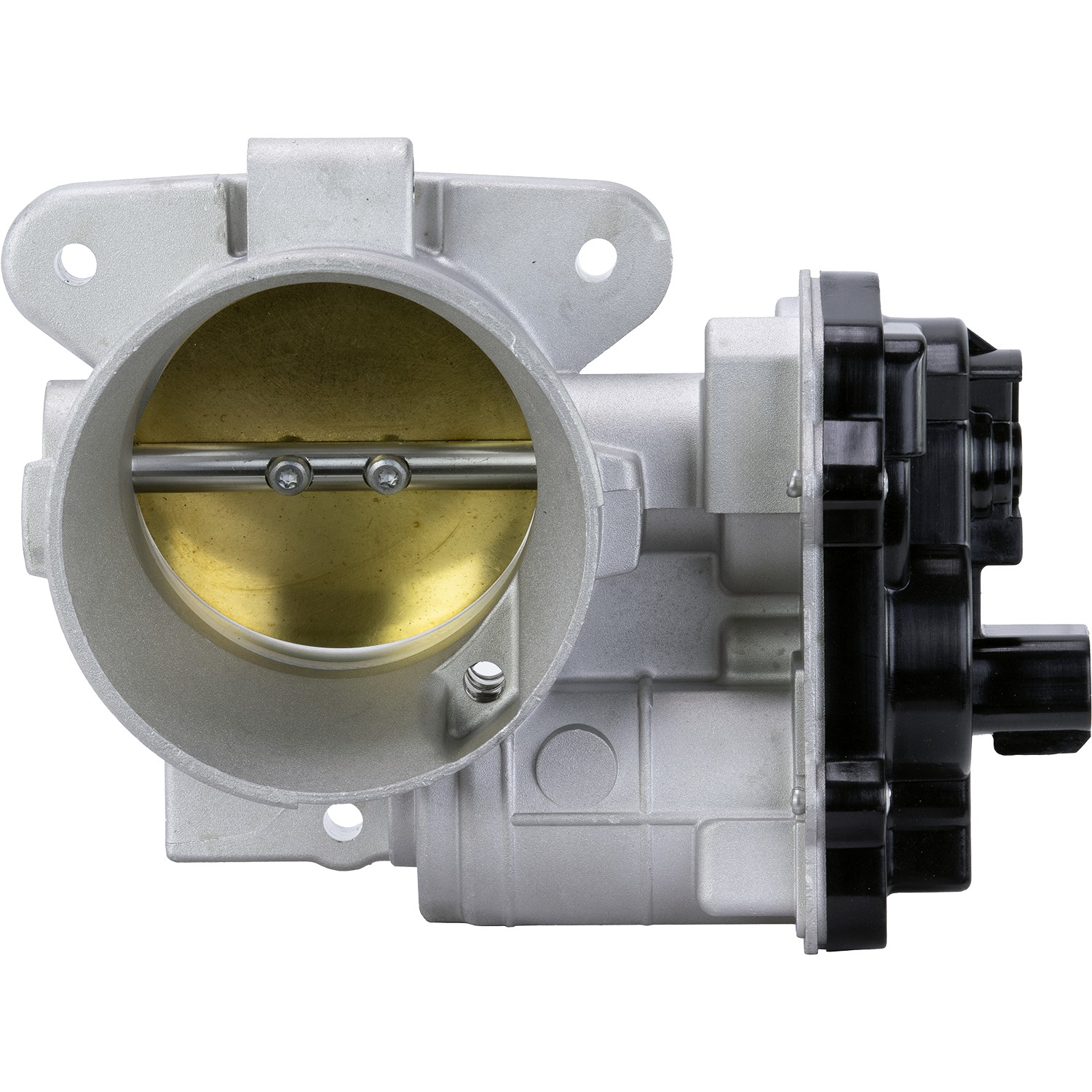 Fuel Injection Throttle Body