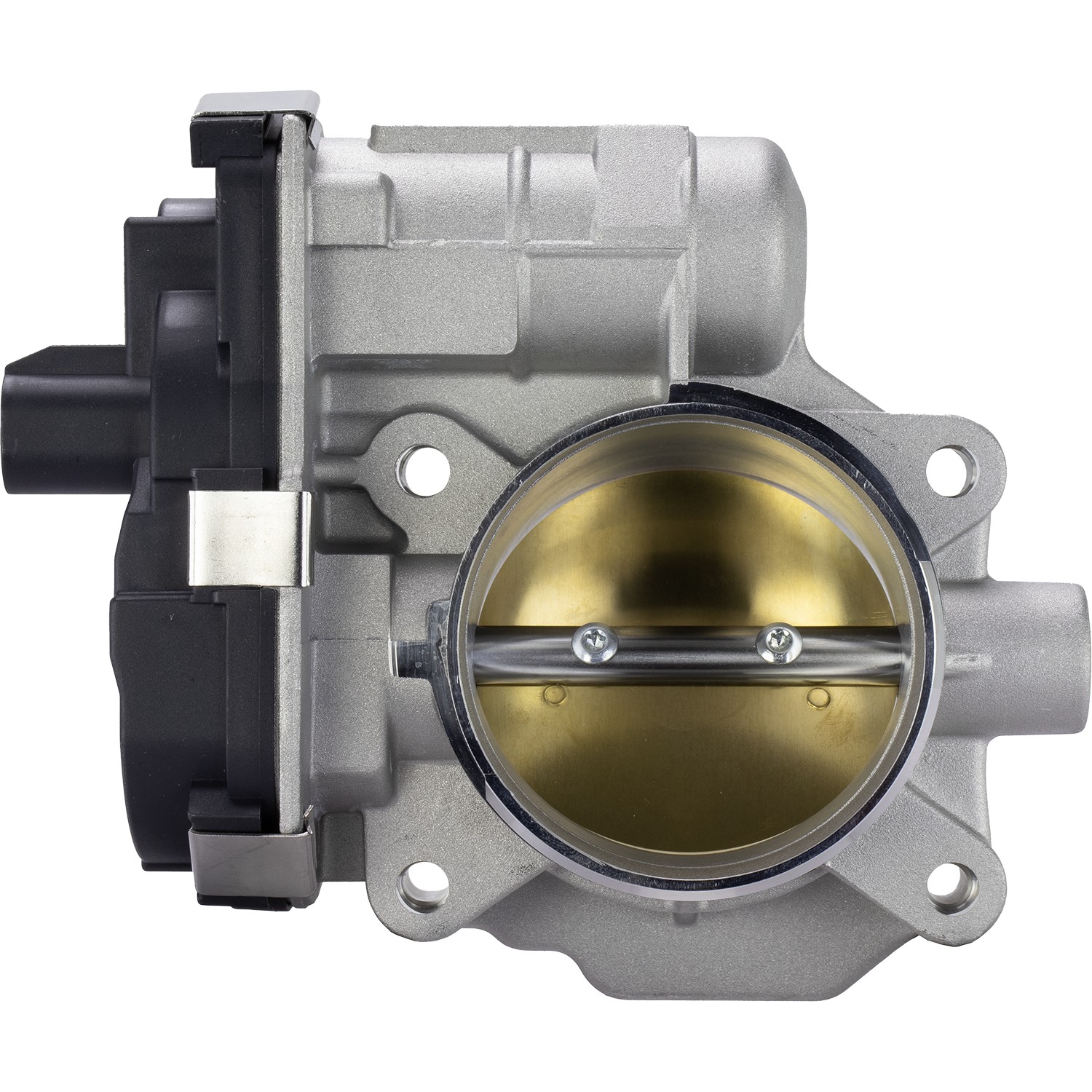 Fuel Injection Throttle Body