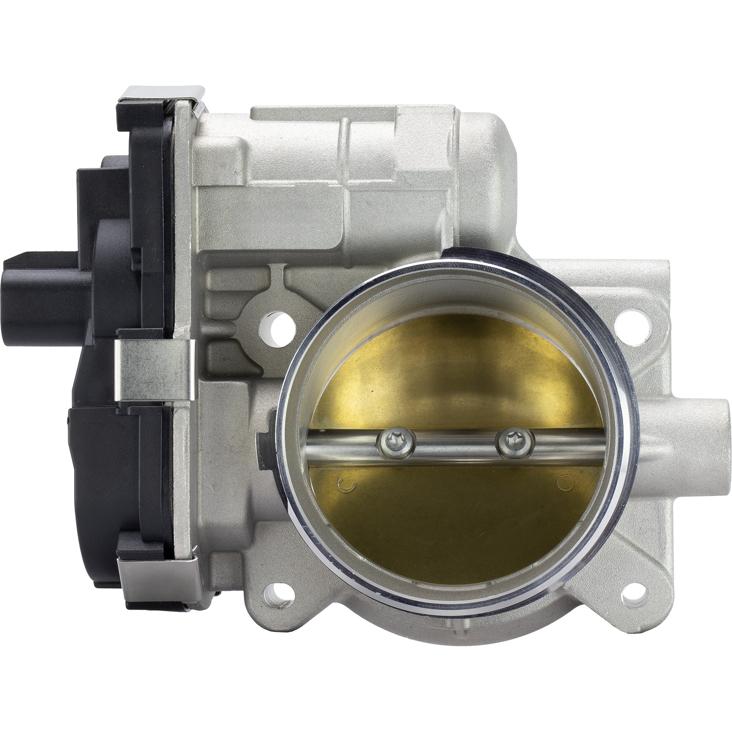 Fuel Injection Throttle Body