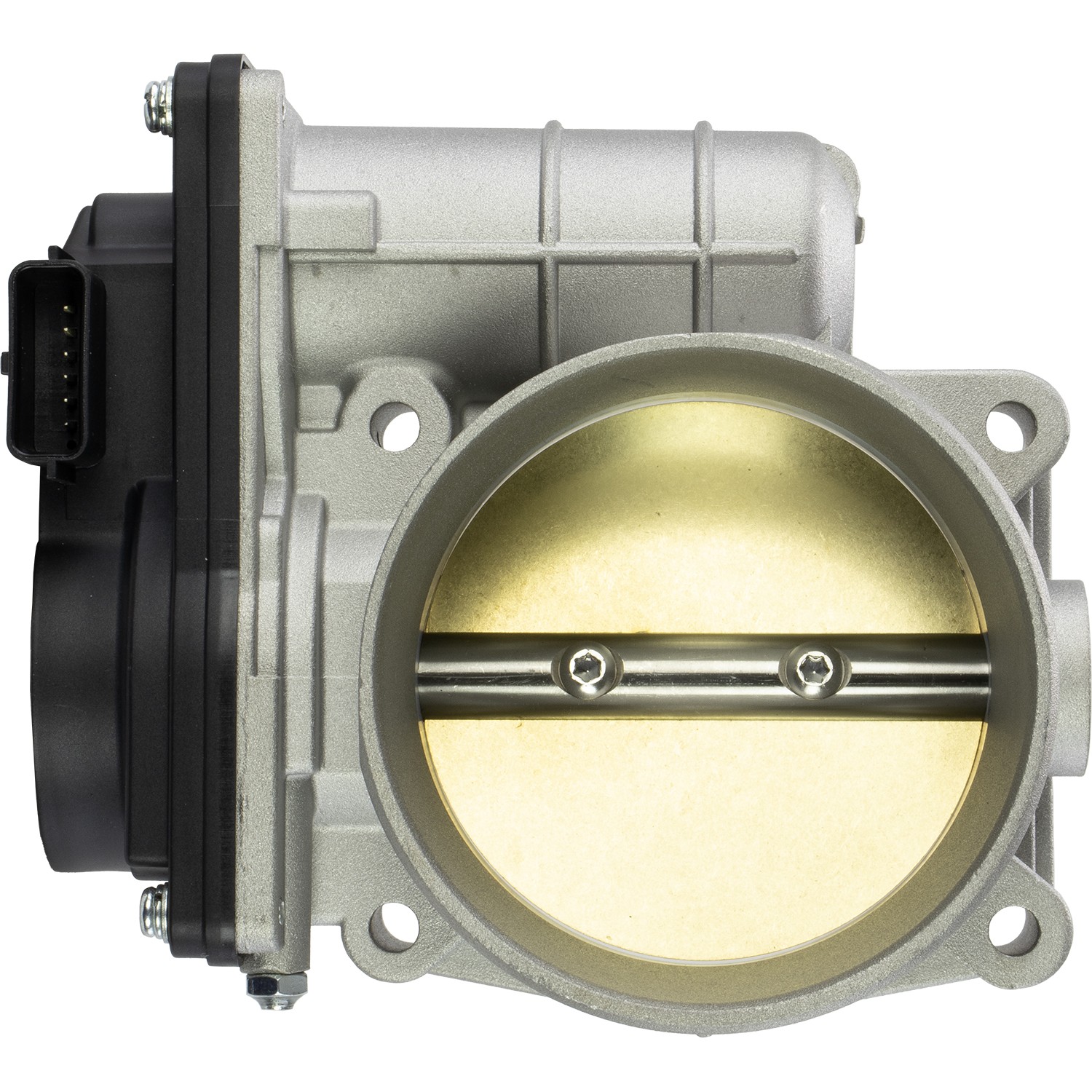 Fuel Injection Throttle Body