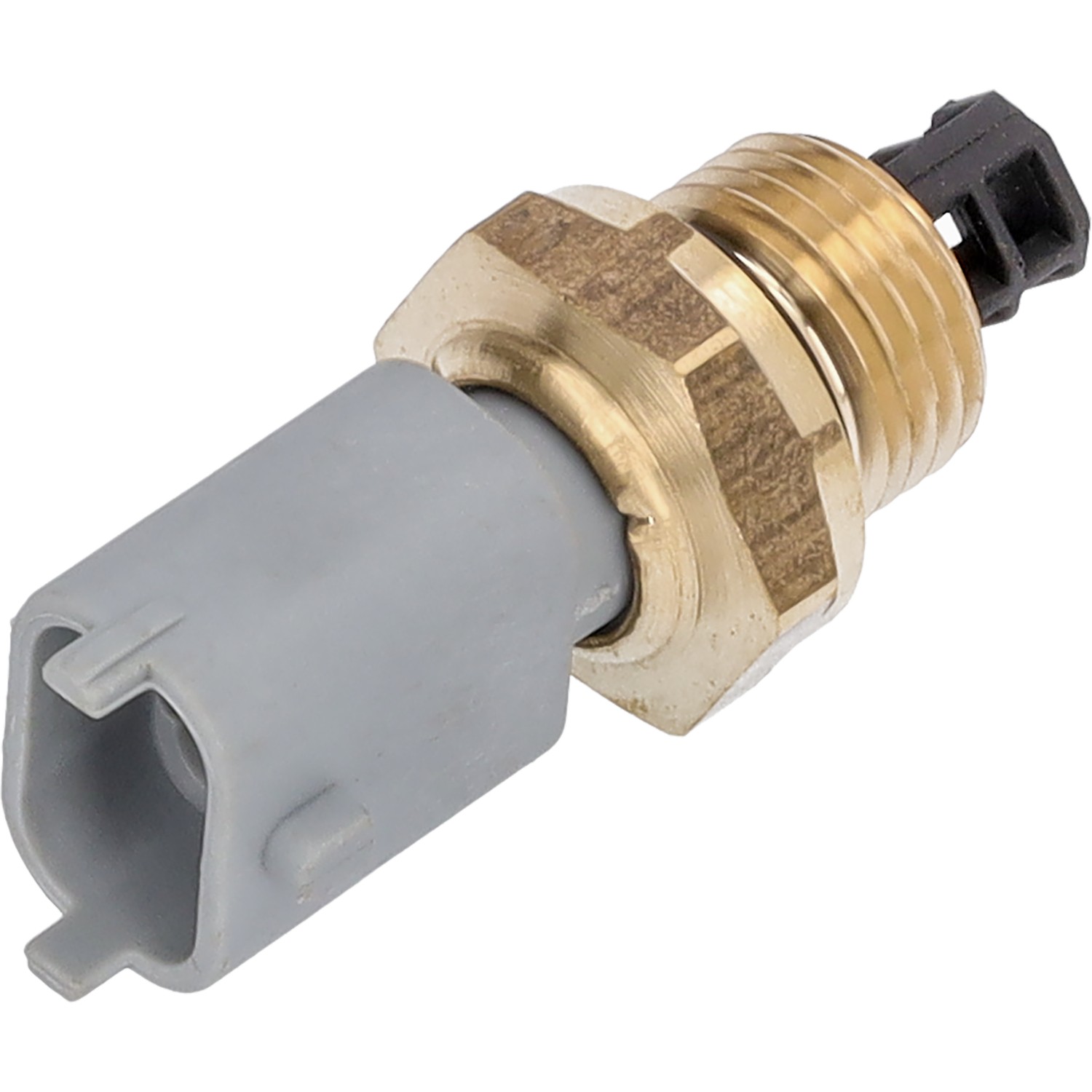 Manifold Temperature Sensor