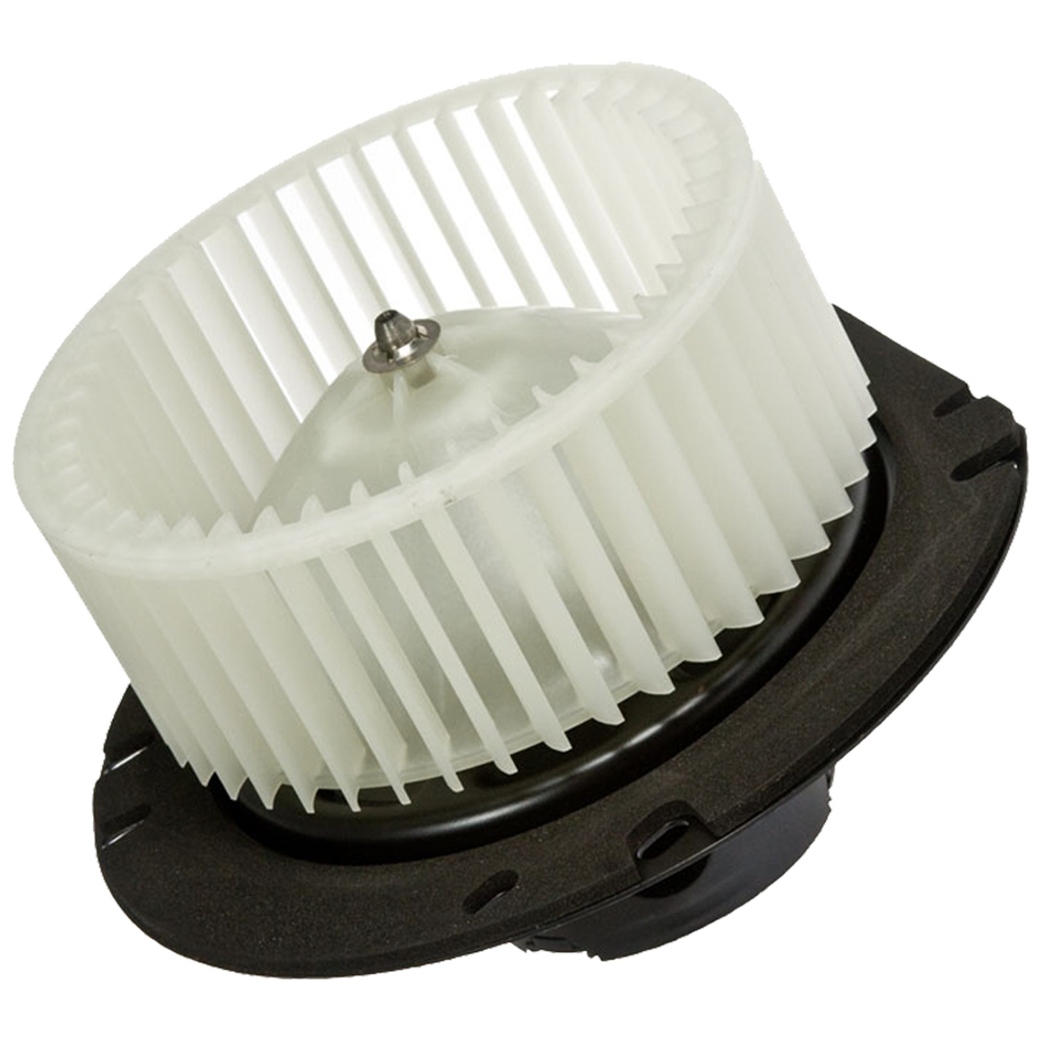 gpd Blower Motor 2311518