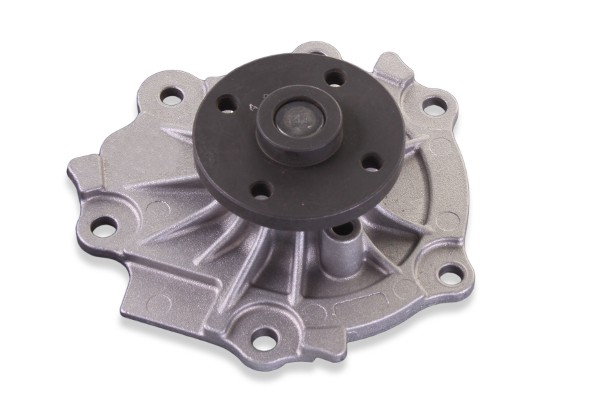 Engine Water Pump