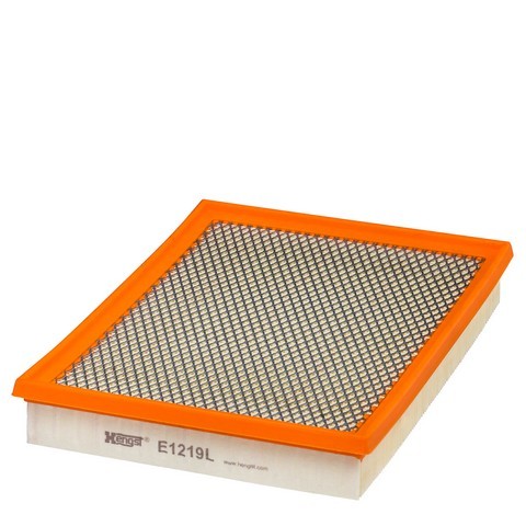 Air filter insert