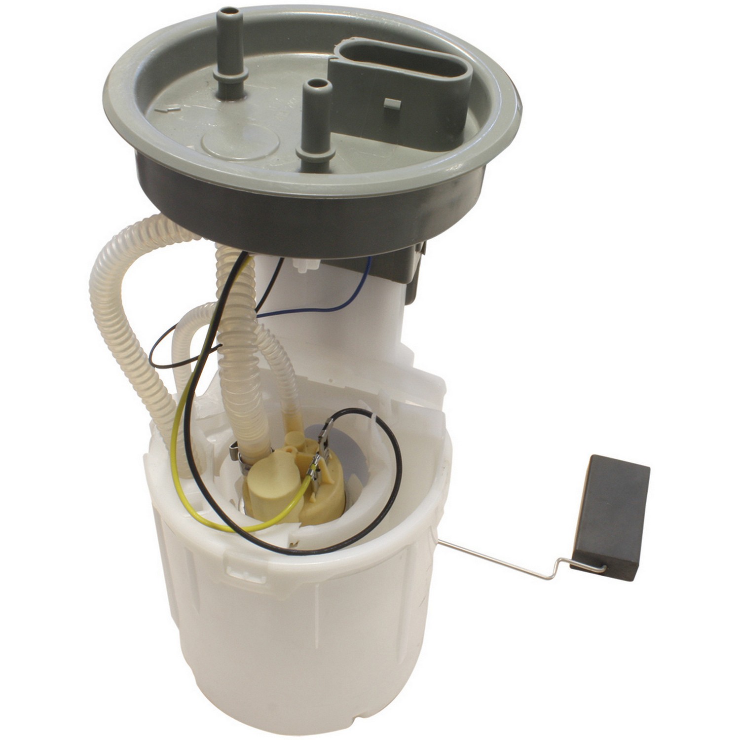 Fuel Pump Module