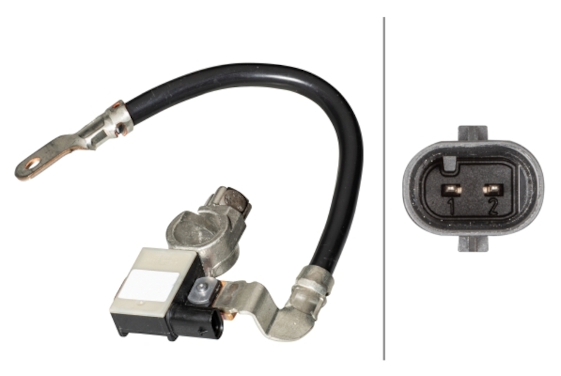 HELLA Intelligent Battery Sensor (IBS) 010840911