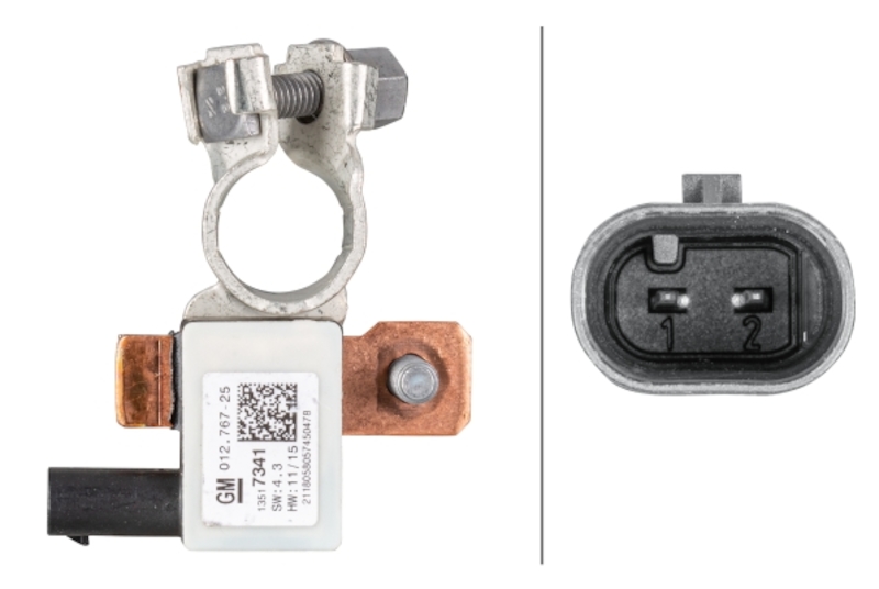 HELLA Intelligent Battery Sensor (IBS) 012767701