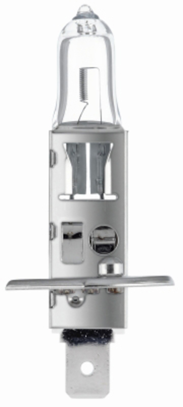 HELLA Turn Signal Light Bulb H1 24V