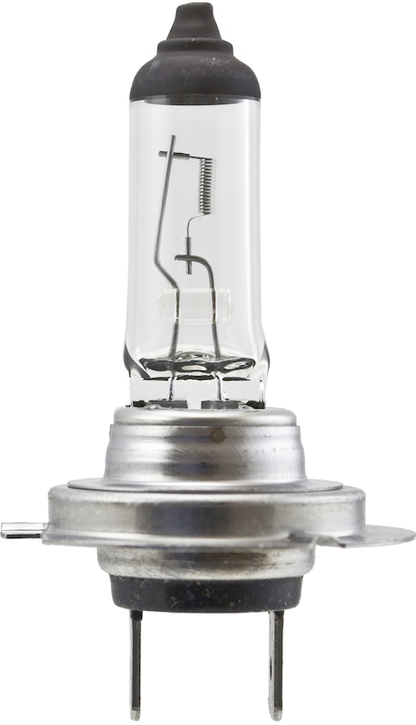 HELLA Multi-Purpose Light Bulb H7 100W