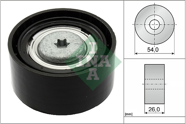 INA BDC FEAD pulley