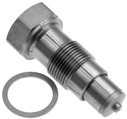 INA CDC Tensioner, timing chain