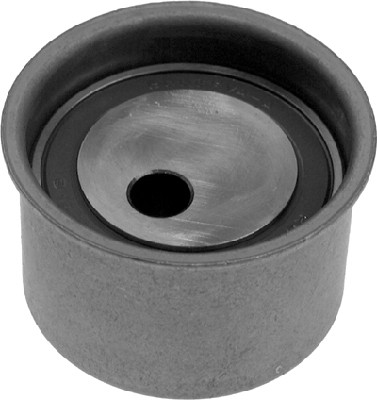 INA BDC TBD tensioner pulley