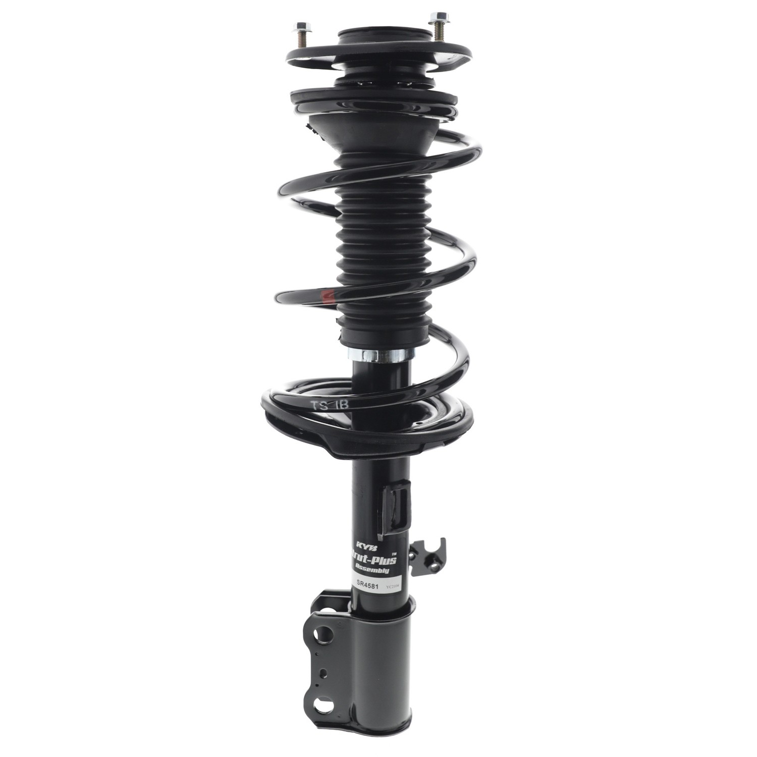 Complete Corner Unit Assembly -Strut, Mount and Spring
