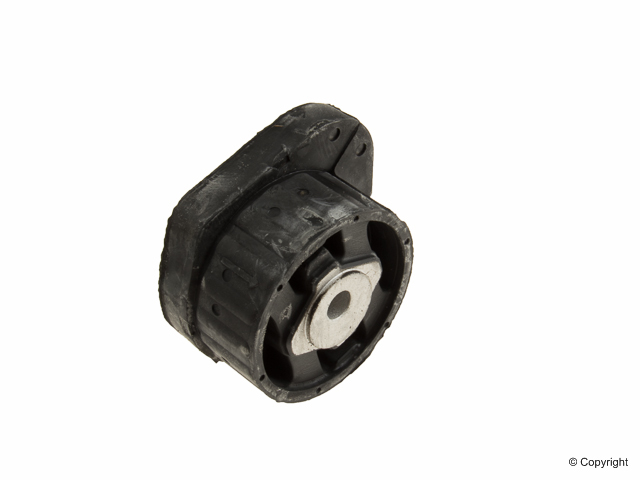 TRANSFER CASE MOUNT