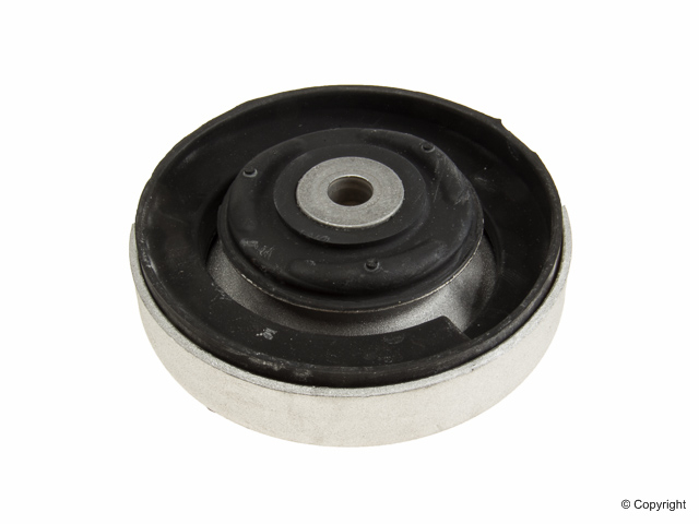 STRUT MOUNT