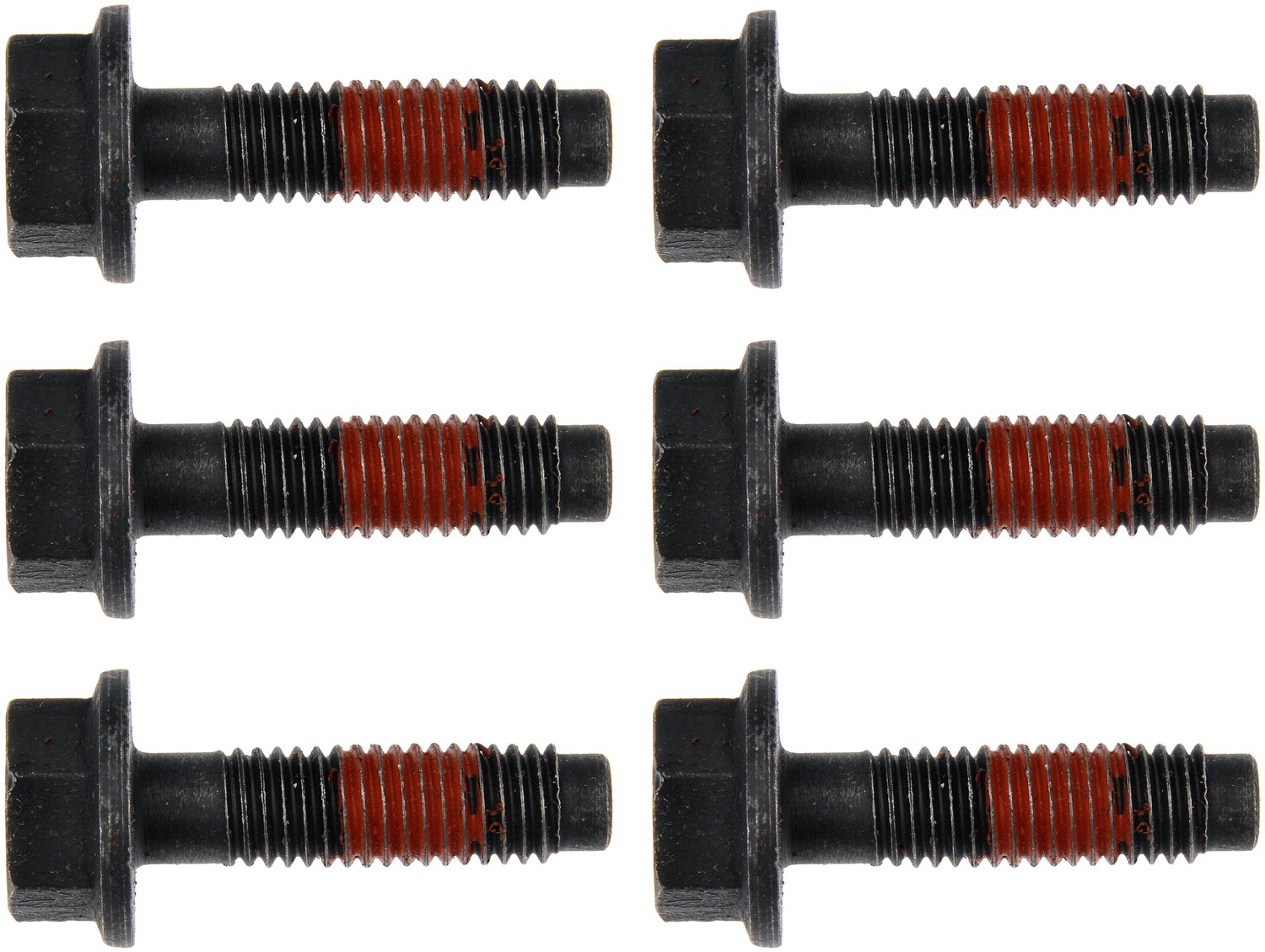 Exhaust Manifold Bolts