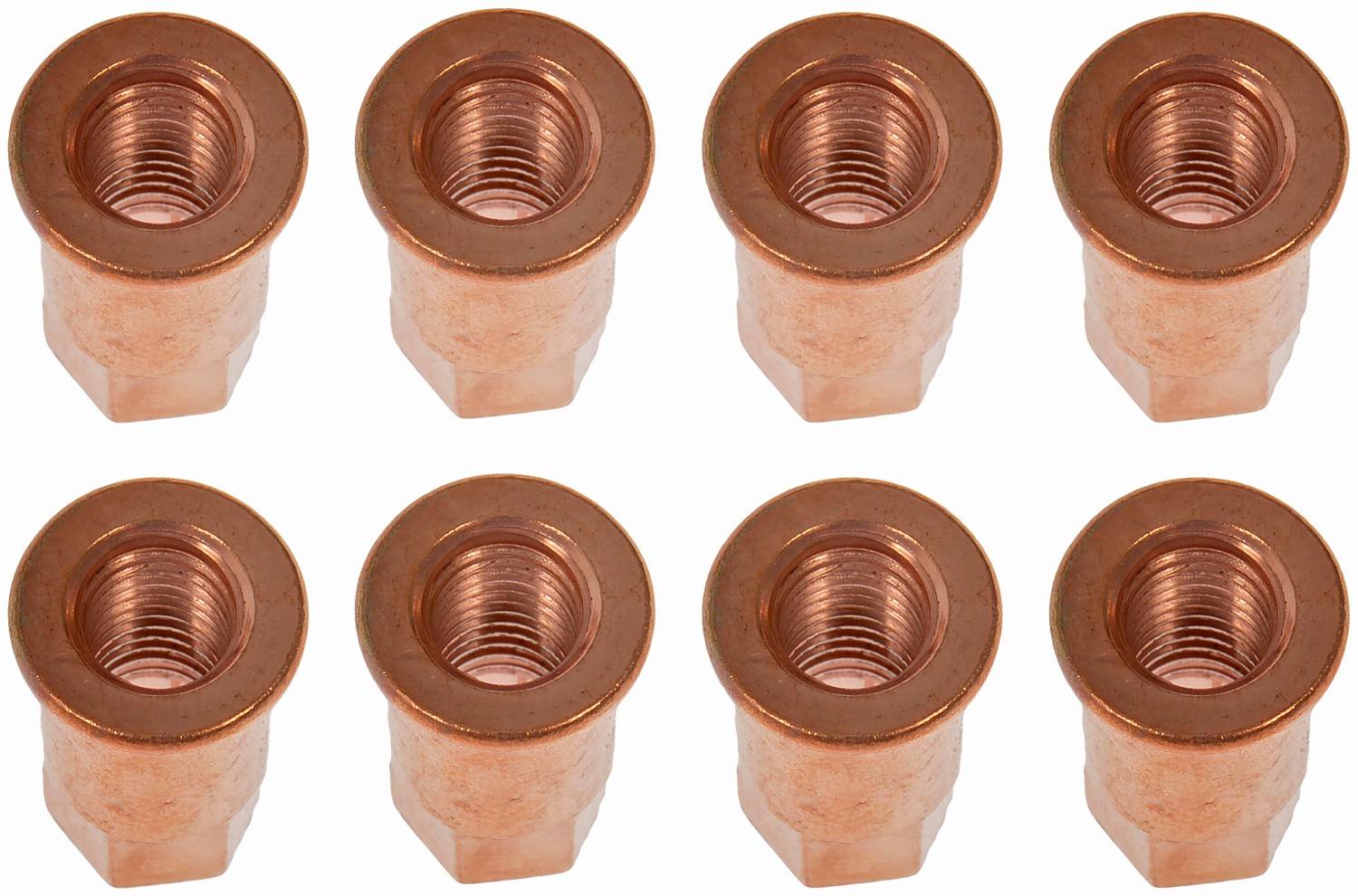Exhaust Manifold Nut